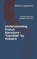 Understanding french literature