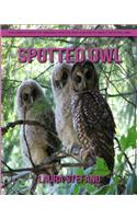 Spotted Owl