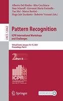 Pattern Recognition. Icpr International Workshops and Challenges