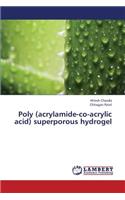 Poly (acrylamide-co-acrylic acid) superporous hydrogel
