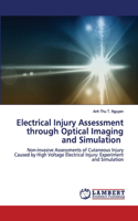 Electrical Injury Assessment through Optical Imaging and Simulation