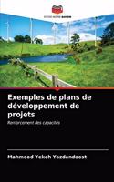 Exemples de plans de développement de projets