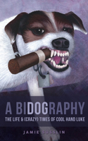 BiDOGraphy