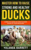 Master How To Raise Strong And Healthy Ducks