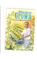 Harcourt School Publishers Trophies: Advanced-Level Grade 4 Homegrown