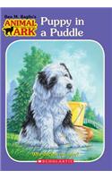 Puppy in a Puddle: (28 Animal Ark (Paperback))