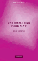 Understanding Fluid Flow: (AIMS Library of Mathematical Sciences)