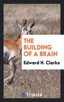 THE BUILDING OF A BRAIN