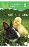 Kingfisher Readers L2: Fur and Feathers