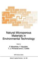 Natural Microporous Materials in Environmental Technology