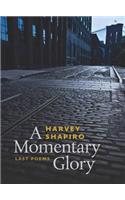 Momentary Glory
