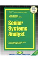 Senior Systems Analyst