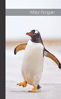 White Penguin