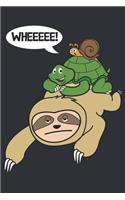 Turtle