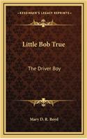 Little Bob True