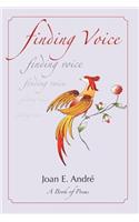 Finding Voice