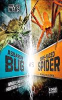 Assassin Bug vs Ogre-Faced Spider: When Cunning Hunters Collide(Bug Wars)