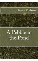 Pebble in the Pond