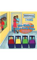 The Birth of the Curly Boys