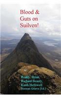 Blood & Guts on Suilven!: The Beauly Posties Bothy Bagging Big Night Out!