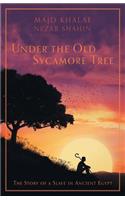 Under the Old Sycamore Tree