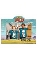 Vbs 2019 Picture Frames Pkg 10