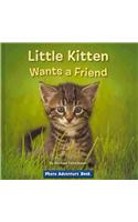 Little Kitten Wants a Friend: (Photo Adventure)