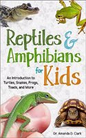 Reptiles & Amphibians for Kids