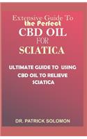 Extensive guide to the perfect CBD oil for Sciatica