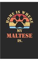 Maltese