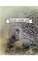 Hedgehog Coloring Book: Hedgehog Lover Gifts for Toddlers, Kids or Adult Relaxation - Cute Stress Relief Animal Birthday Coloring Book Made in USA