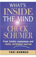 What's inside the mind of Chuck Schumer?