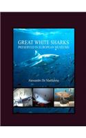 Great White Sharks Preserved in European Museums