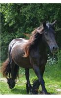 Awesome Brown Horse in the Pasture on a Windy Day Journal: 150 Page Lined Notebook/Diary