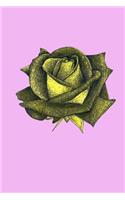 Notebook: Rose 6x9 Lined Notebook 150 Pages