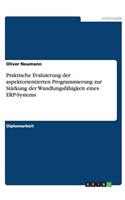 Praktische Evaluierung der aspektorientierten Programmierung zur Stärkung der Wandlungsfähigkeit eines ERP-Systems