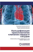 Kal'tsifikatsiya Transplantatov Klapanov Serdtsa I Sosudov