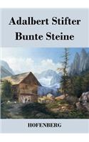 Bunte Steine: Ein Festgeschenk(German)