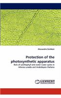 Protection of the photosynthetic apparatus