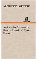 Assimilative Memory or, How to Attend and Never Forget: (English)