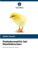 Pododermatitis bei Masthähnchen
