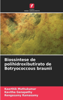 Biossíntese de polihidroxibutirato de Botryococcous braunii