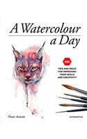 Watercolour a Day