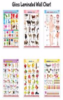 Childrenâ€™s Gloss Laminated Wall Charts :- Alphabet, Fruits, Animals, Body Parts, Numbers and Shapes & Colours - Learning Posters for Kids, 