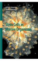 Stem Cells in Marine Organisms