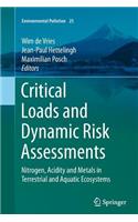 Critical Loads and Dynamic Risk Assessments