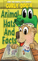 Curly Dog's Animal Hats And Facts