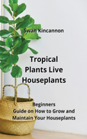 Tropical Plants Live Houseplants