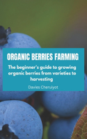 Organic Berries Farming
