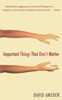 Important Things That Don't Matter: (English)